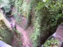Shanklin Chine 4 * 2032 x 1524 * (1.35MB)